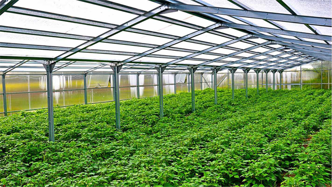 structura metalica Riverclack